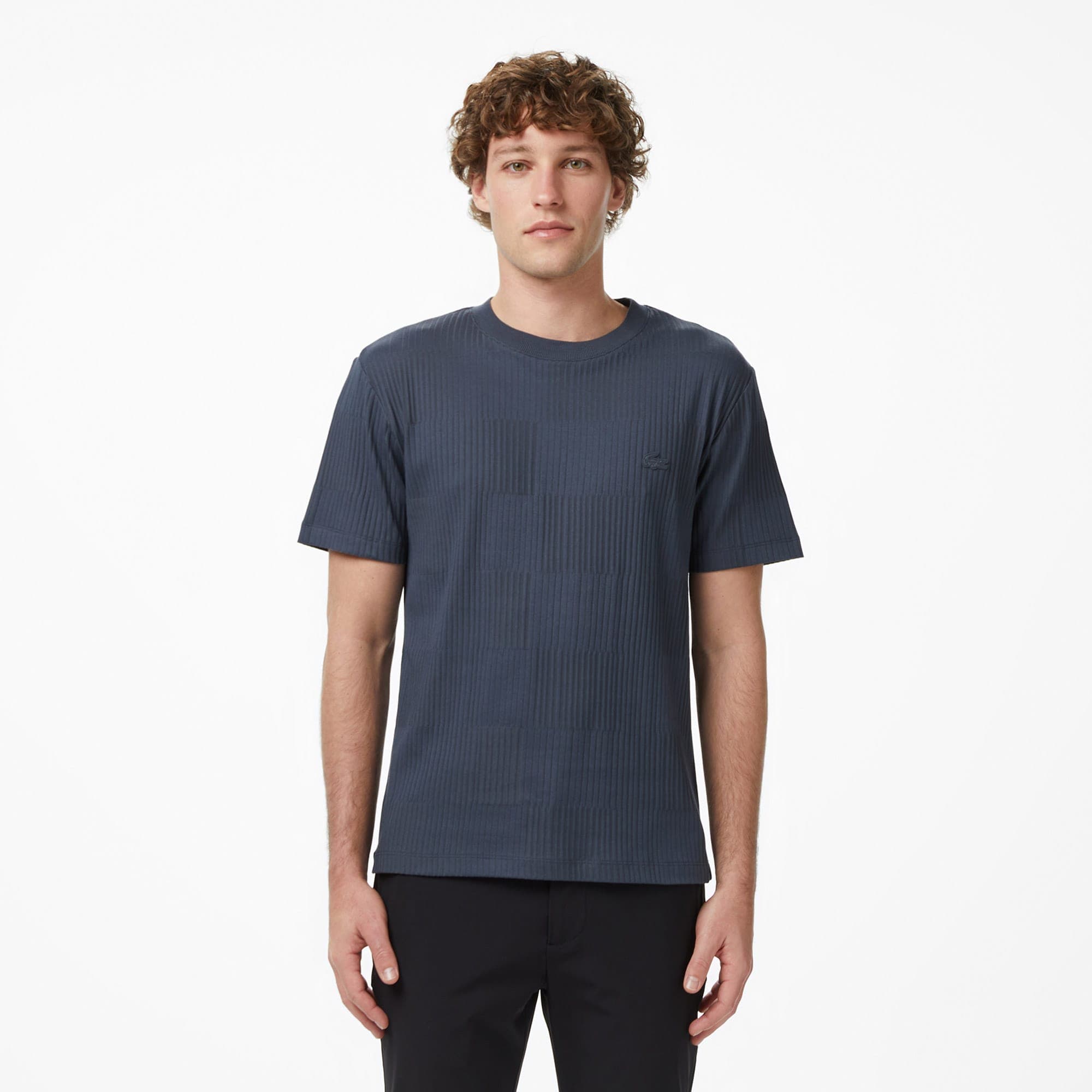 Lacoste Erkek Regular Fit Bisiklet Yaka Çizgili Koyu Gri T-Shirt