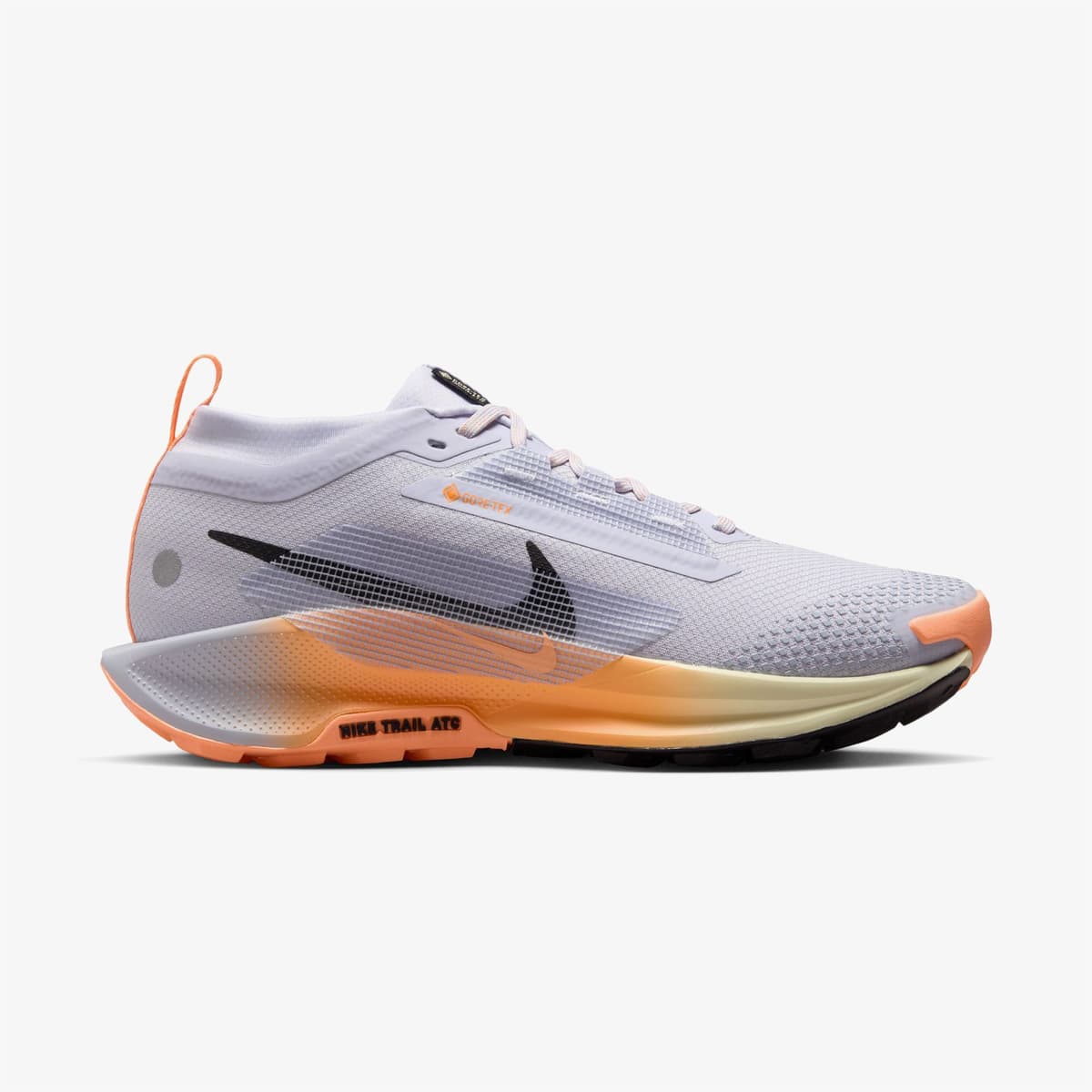 Nike Pegasus Trail 5 Gore-Tex Kadın Gri Koşu Ayakkabısı