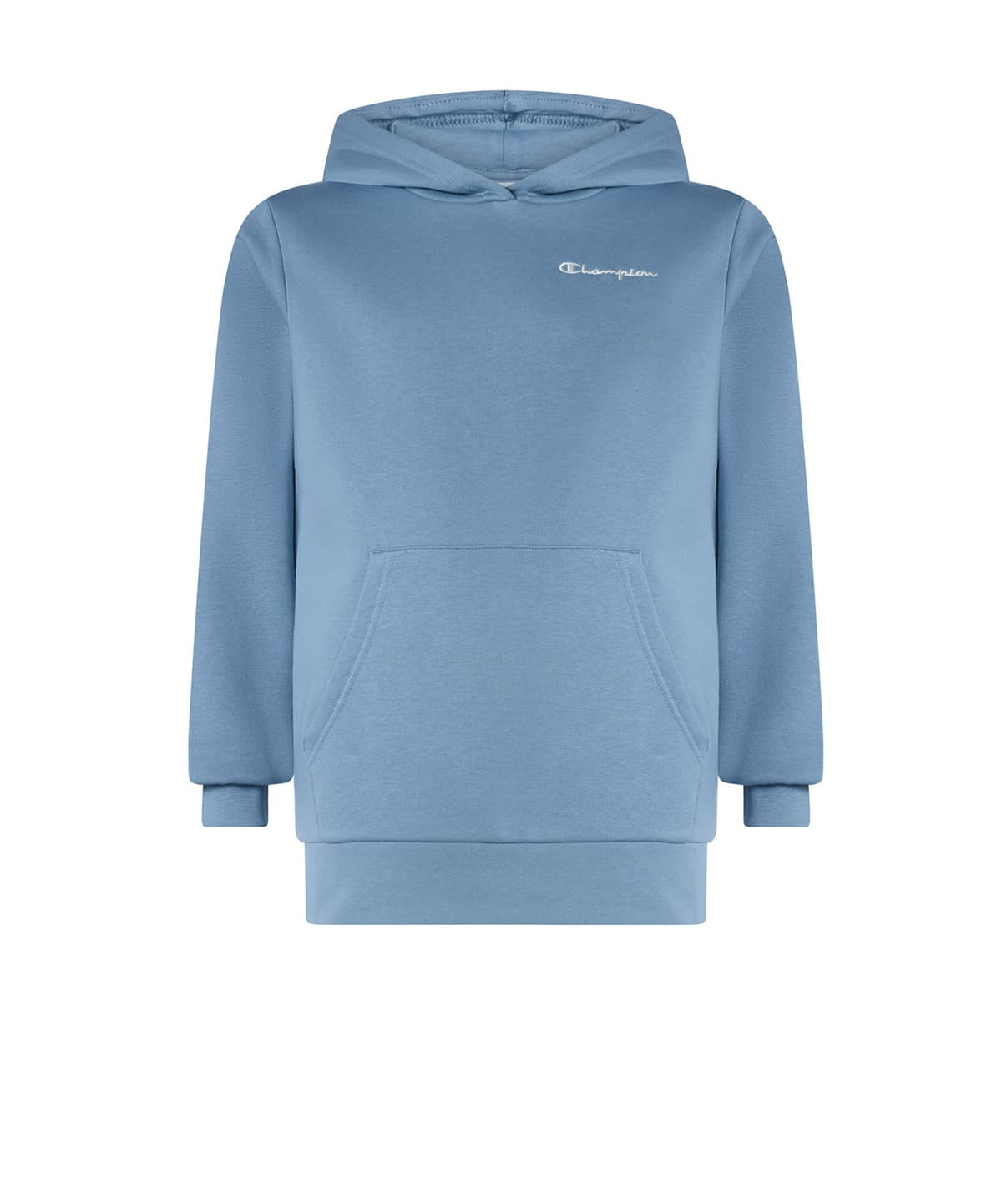 Champion Amazon Hoodie Sweatshirt